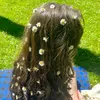 hajer6014