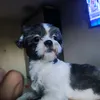 joaovictor09.gued