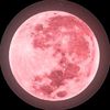 missik_4