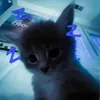 notyourmomtho2