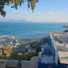 mira_9714