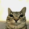 omar_jsr05