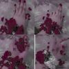 fatima.m763