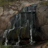 rezu_afg
