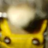 mortimerbrambleramble