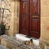 advino.eslavo