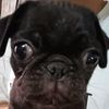 omarcito_088
