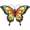 .butterfly958