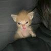 tamara_oo1