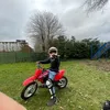 pjotr12