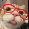 ️