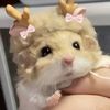 alyssa_666701