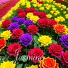 md.liton.ali110