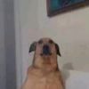 ww.tiktok.comtakitos
