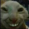 miazinha_kaifha_._