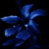 song_9722