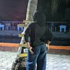 sity.aliya3