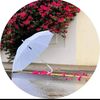 user7841205437347