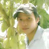xoaipro7