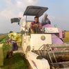 barinputrabungsu09