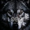 chicofiel_915033604