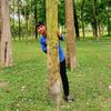 mahadi.hasan3684