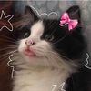 geraldine.pajarit7