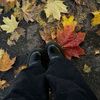 autumnn1330