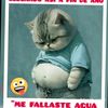 user720815086181
