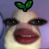 miza_zuki_la