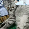 phat.thanh8905