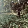 bans_4_short