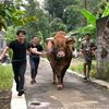 bandung_well2
