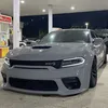 buldog_dk