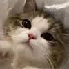 yuis_14