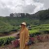 santi.fatimah59