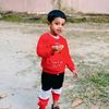 shapla43use