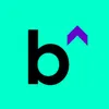 Boost Analyst Program (BAP)