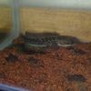 no_name25112011
