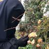 _habouba34