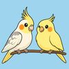 louie.leo.thecockatiels