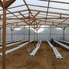 aby_farm.milenial