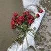 user8368117002736