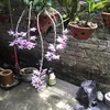linh.na311