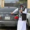 abdo.f043