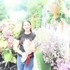phnglinh4053