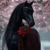 user400069017