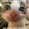 k.huyen113