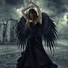 angle12543