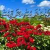 user2160981312705